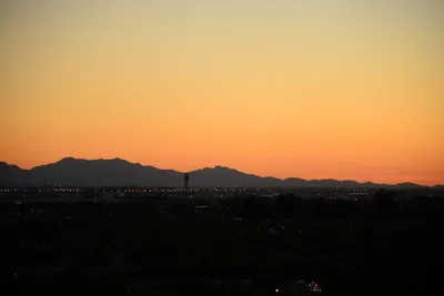 DSC_1494 (Large).JPG